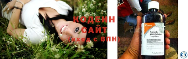 амф Покачи