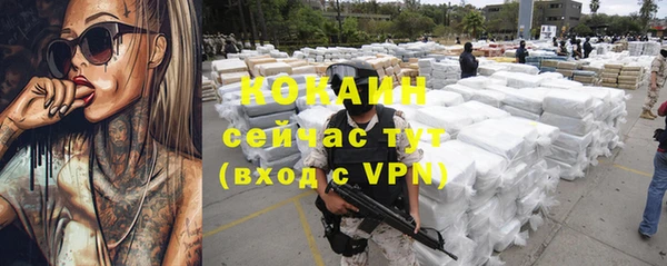 прущие грибы Приозерск