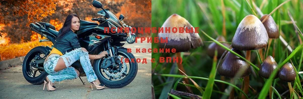 амф Алексеевка