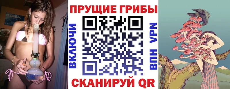 купить наркотик Татарск Псилоцибиновые грибы прущие грибы