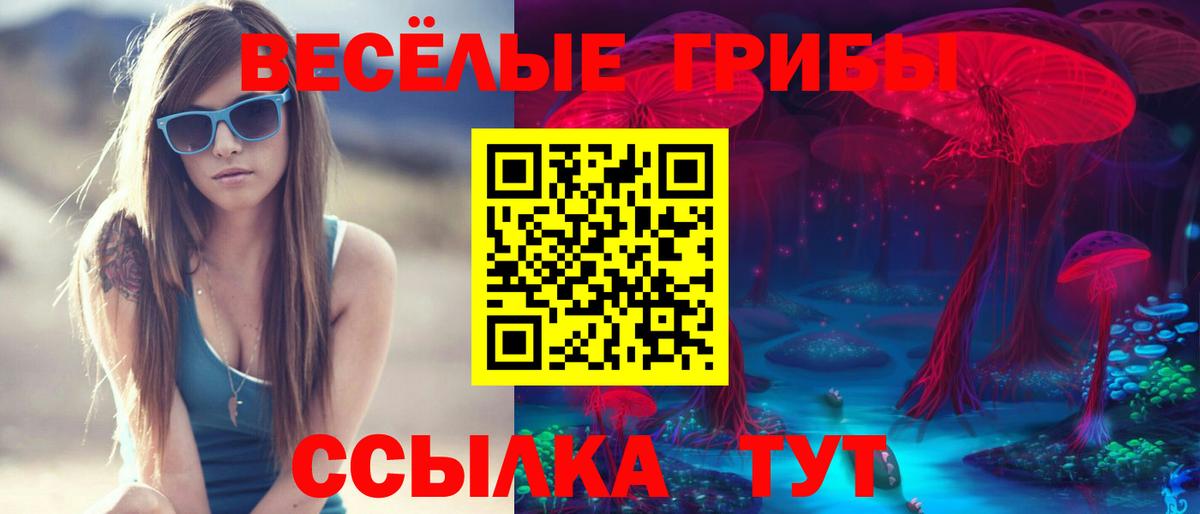 купить   Галлюциногенные грибы GOLDEN TEACHER  Вход с VPN  Псилоцибиновые грибы прущие грибы  Татарск 